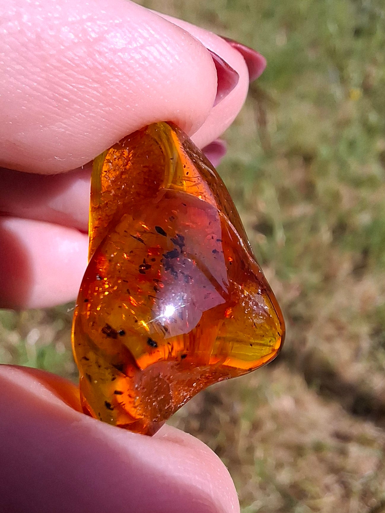 Baltic Amber, 1.47g, Fossil (Ref: A238)