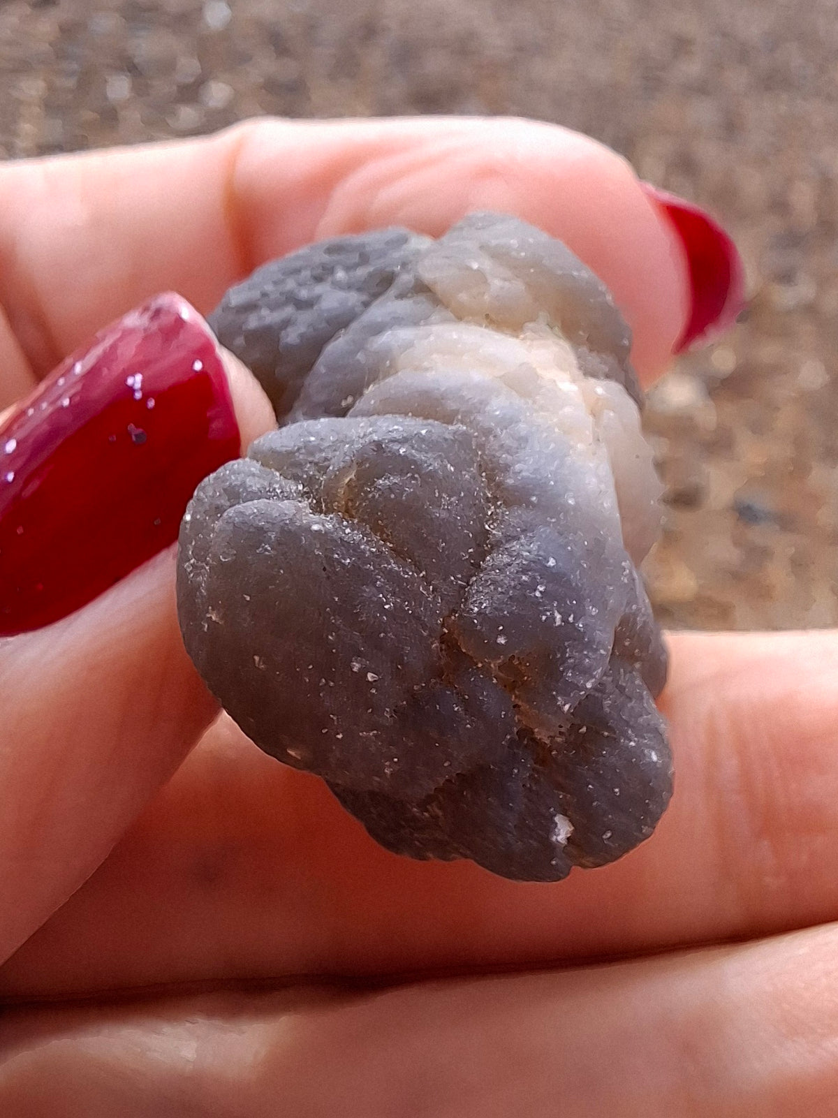Nebula Chalcedony, 16.91g, Fossil (Ref: NC1)