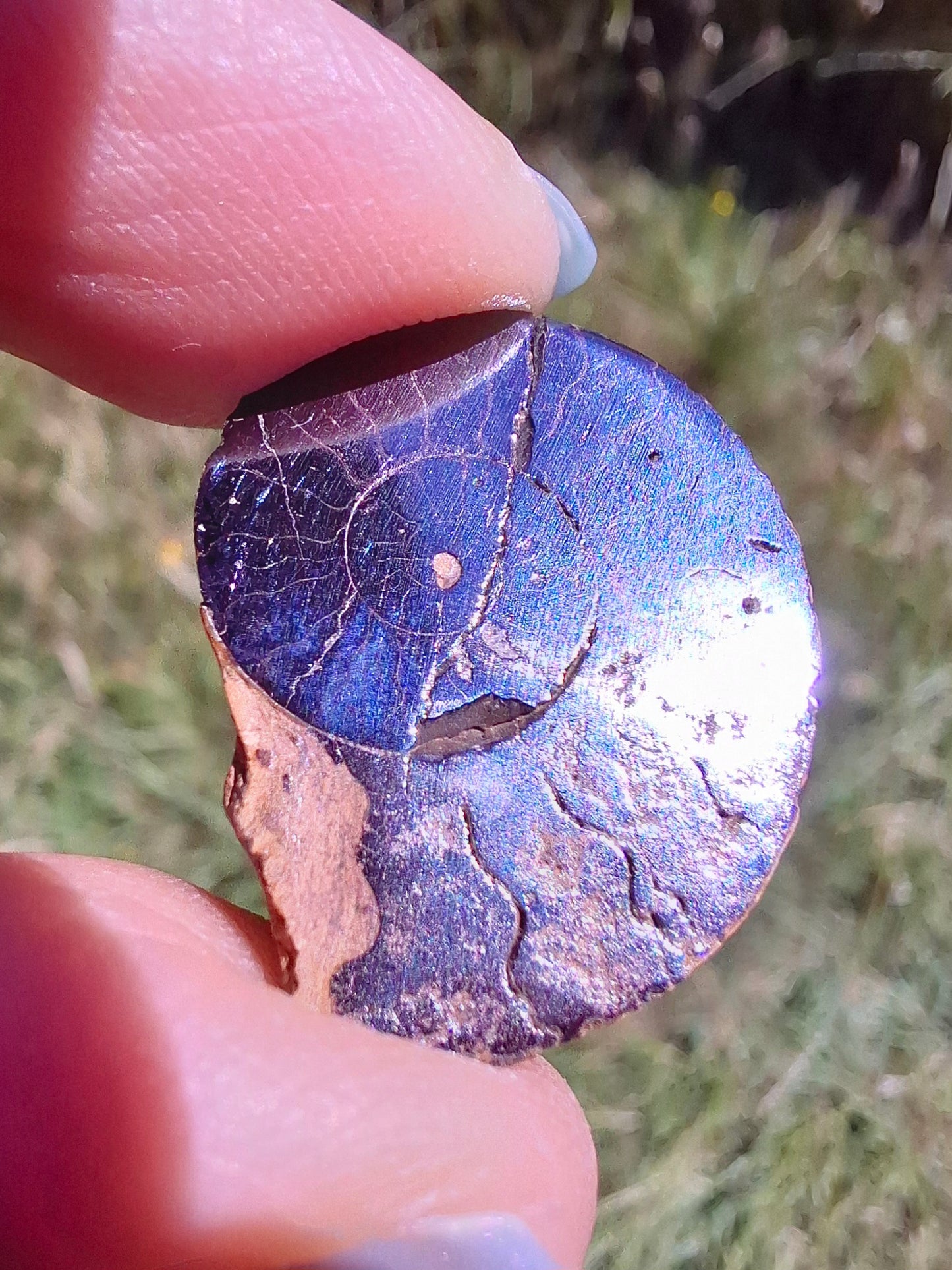 Small Haematite Ammonite HALF, 2.24g, Fossil (Ref: MA10)