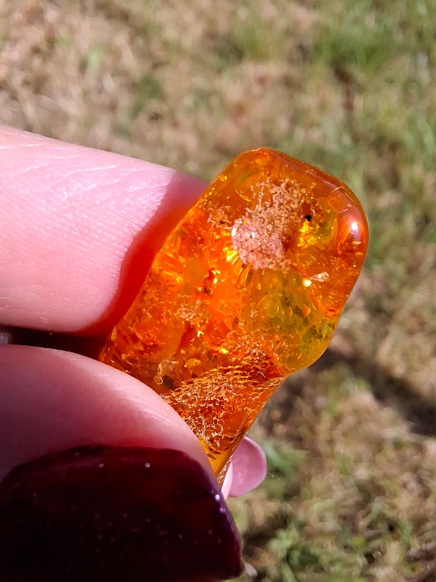 Baltic Amber, 2.95g, Fossil (Ref: A159)