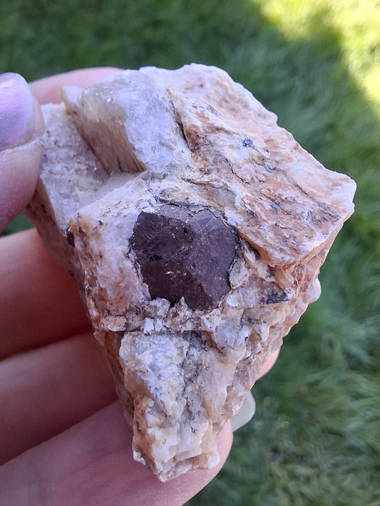 (Dig your own) Garnet in Matrix, Crystal (Ref: RG1)