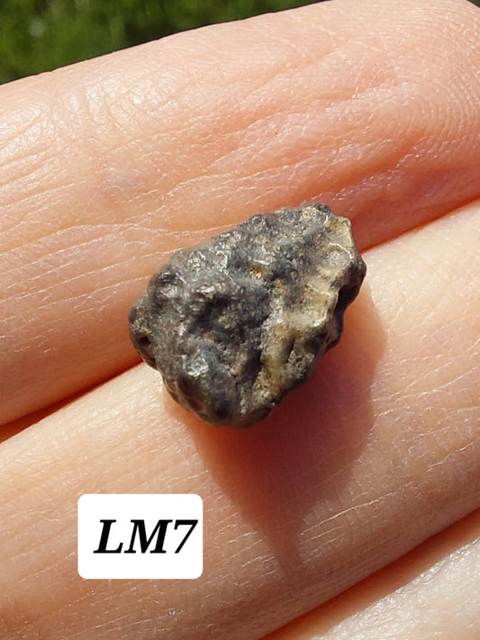 Lunar Meteorite, 0.83g, 'Moon Rock' (Ref: LM7)
