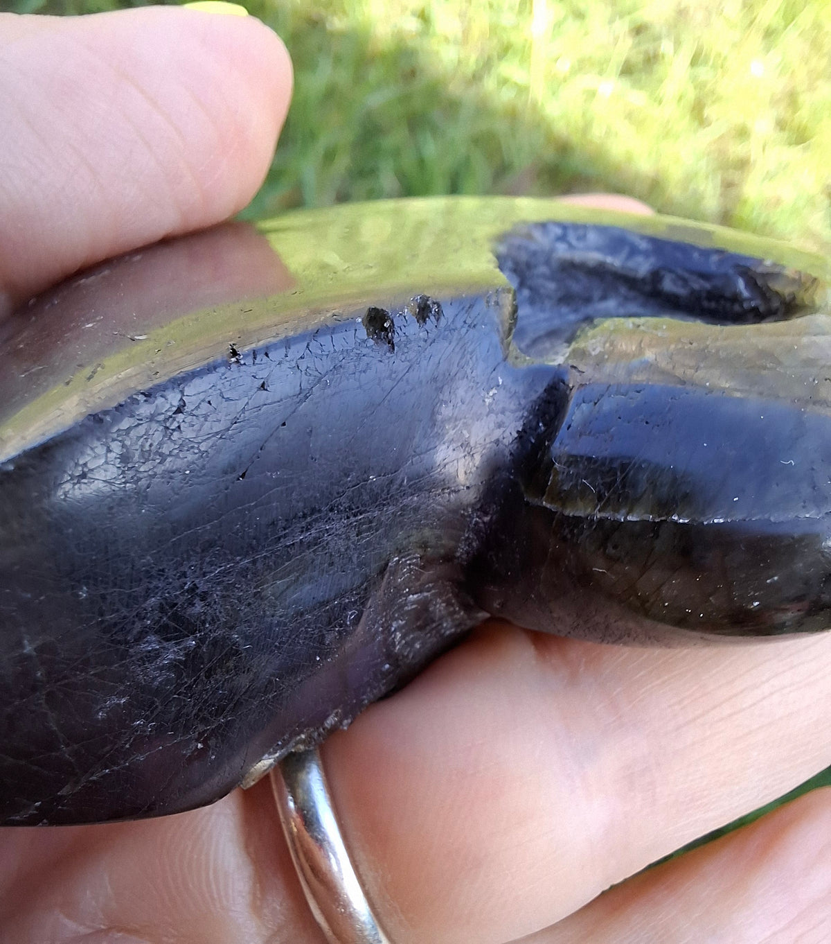 Labradorite Ammonite Carving, 153.97g, Crystal (Ref: laba2)