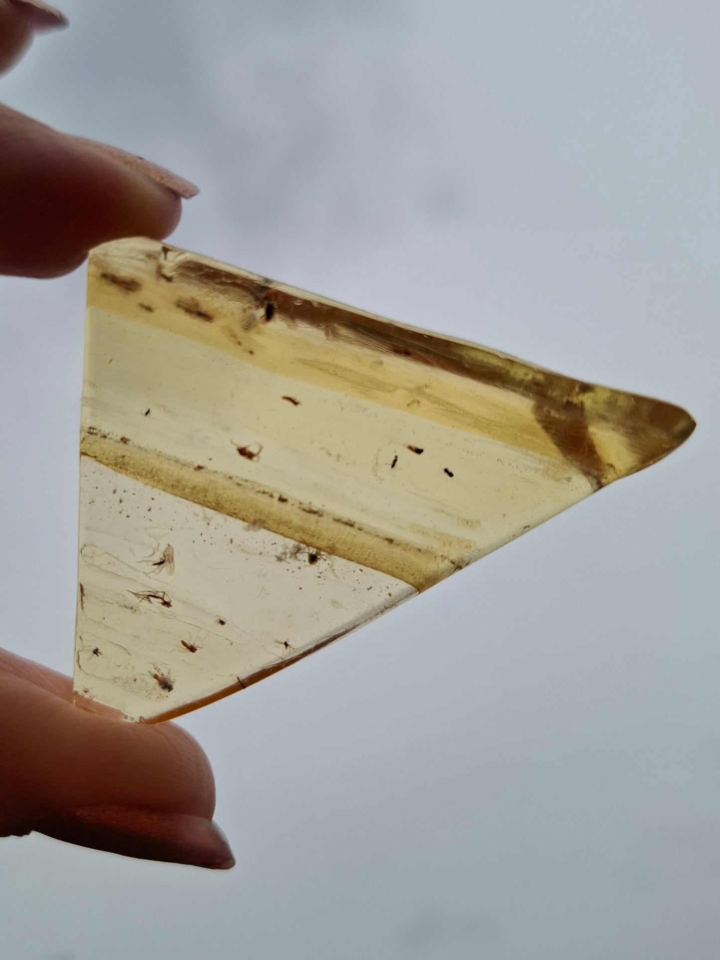 Copal Young Amber with INSECTS inside, 8.39g, Fossil (Ref: CA31)