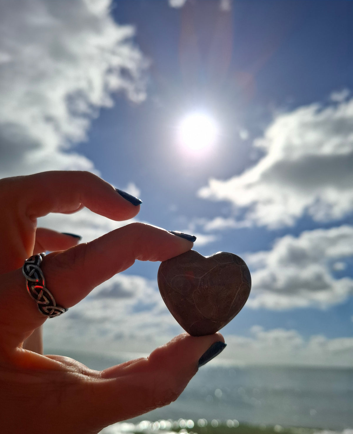 Fossil Coral Heart, (Ref: CoH2)