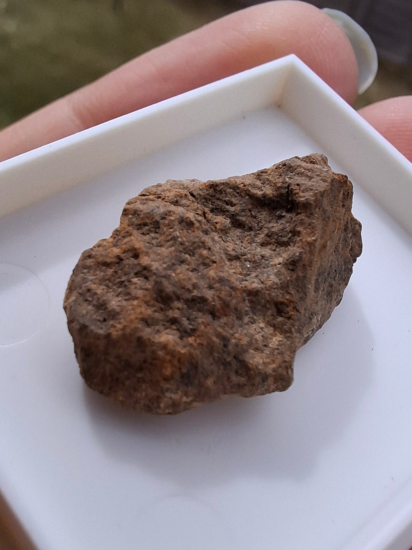 Chondrite, Meteorite (Ref: CM7)