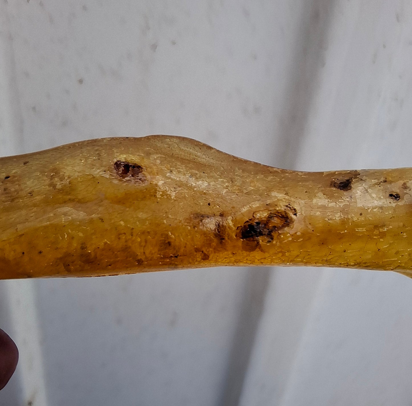 Copal Young Amber with INSECTS inside, 5.07g, Fossil (Ref: CA35)