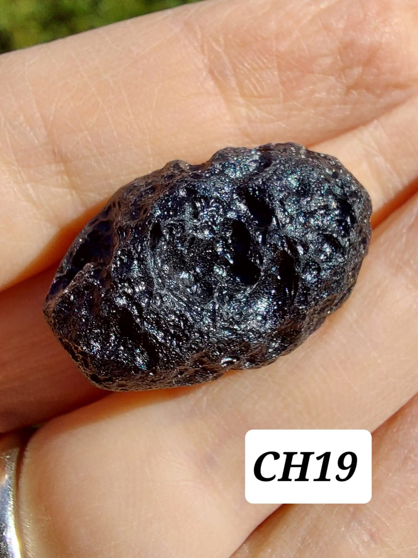 Guang Dong (Chinese), 10.55g, Tektite