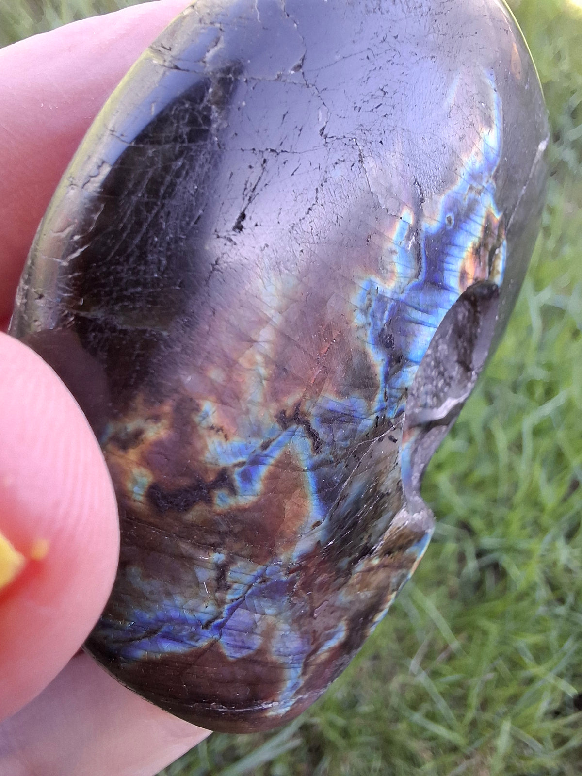 Labradorite Ammonite Carving, 89.31g, Crystal (Ref: laba6)