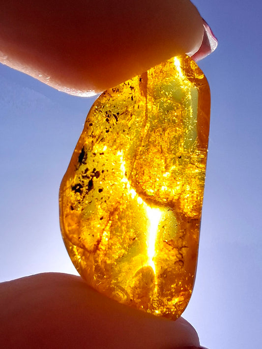 Baltic Amber, 1.39g, Fossil (Ref: A181)