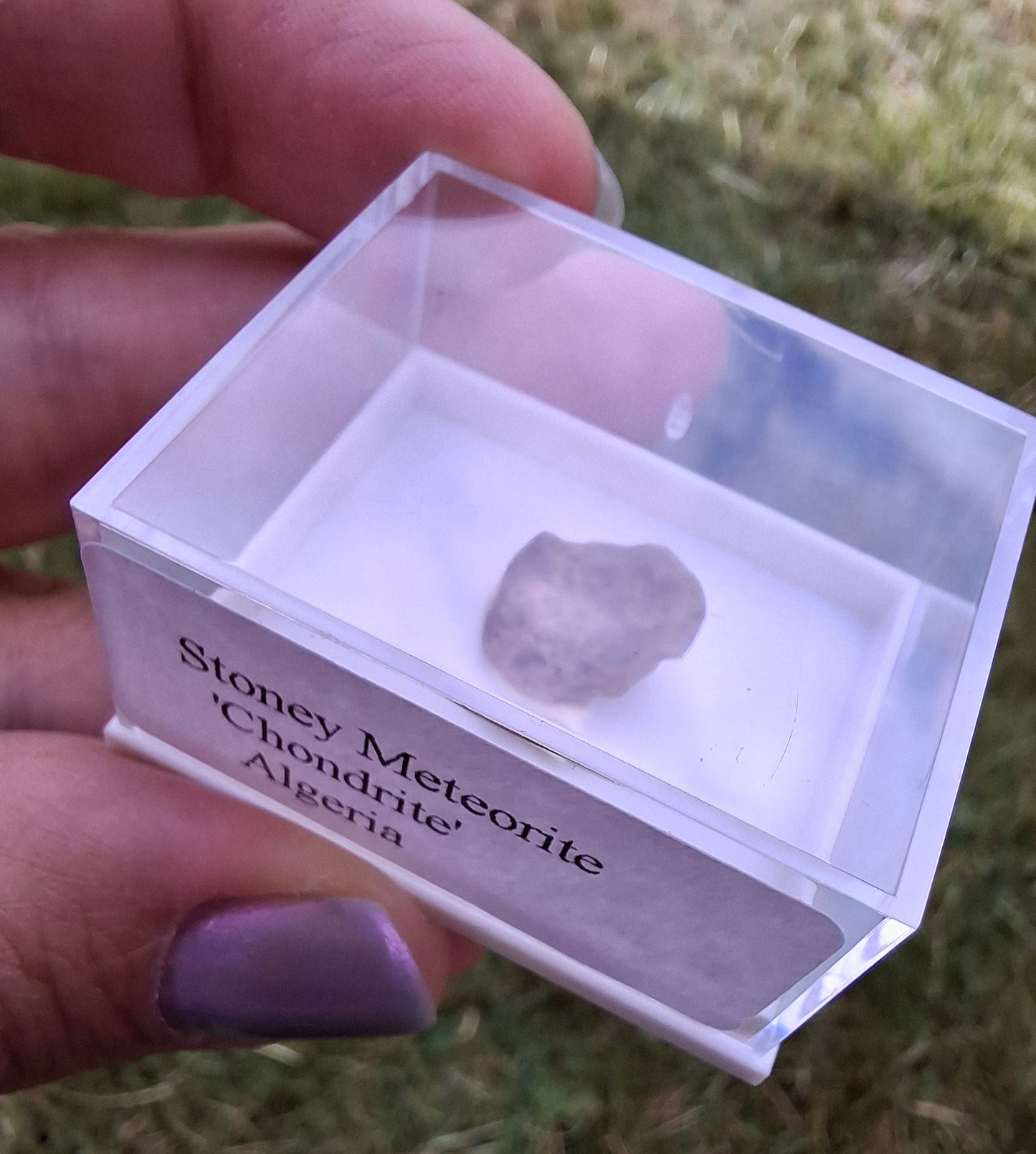 Chondrite, Meteorite (Ref: CM5)