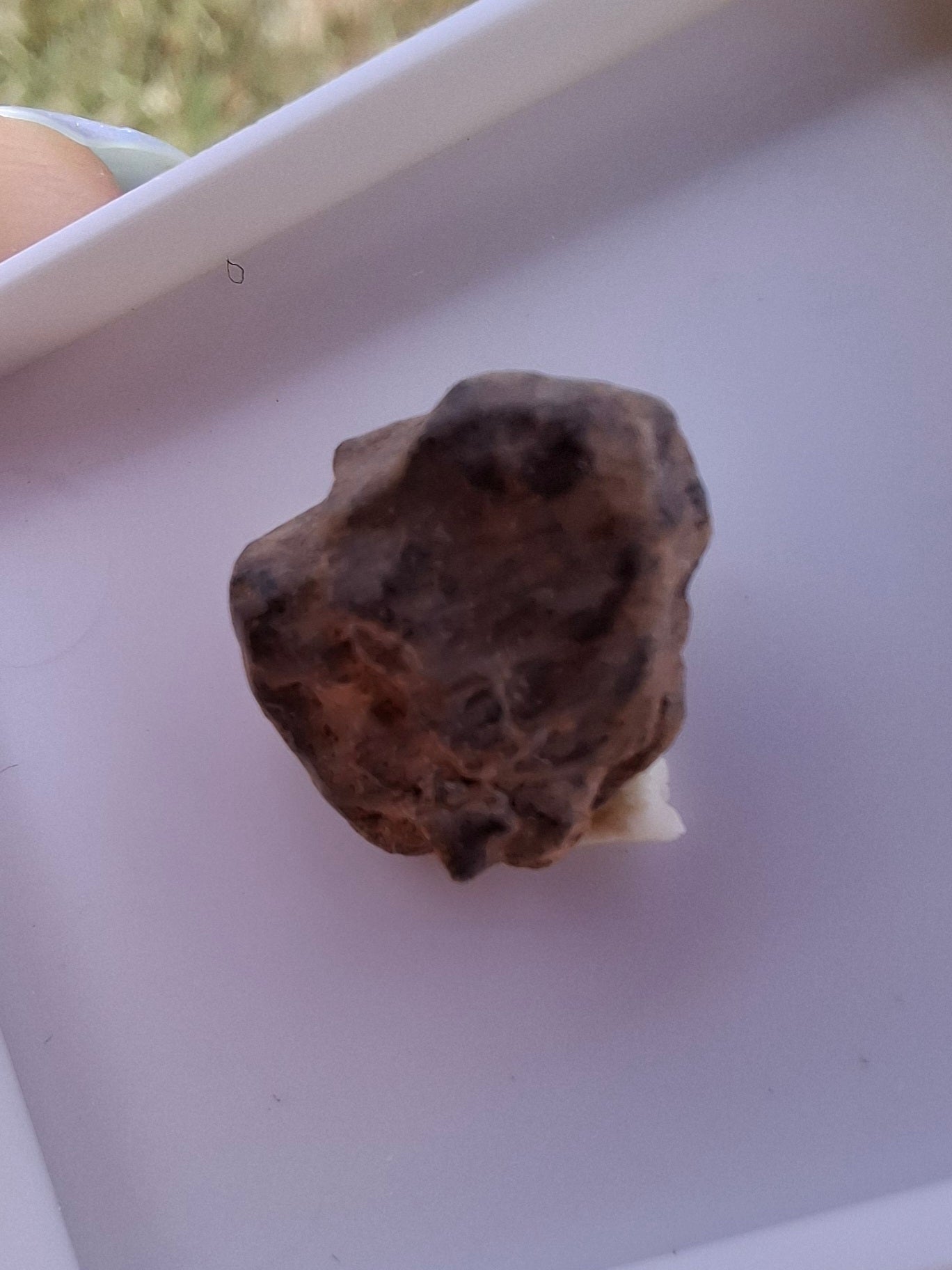 Chondrite, Meteorite (Ref: CM5)