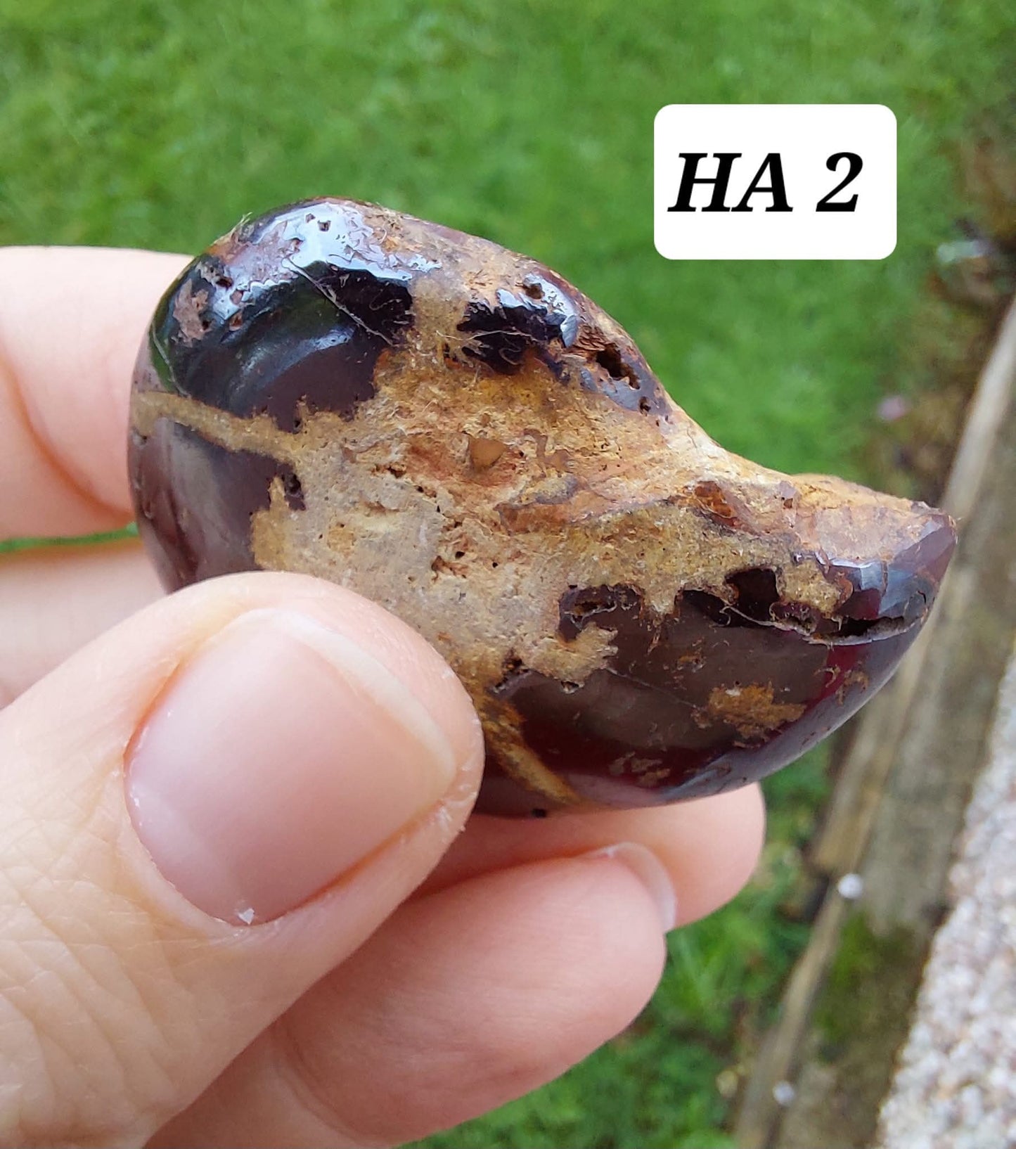 Hematite Ammonite, 22.72g, Fossil (Ref: HA2)