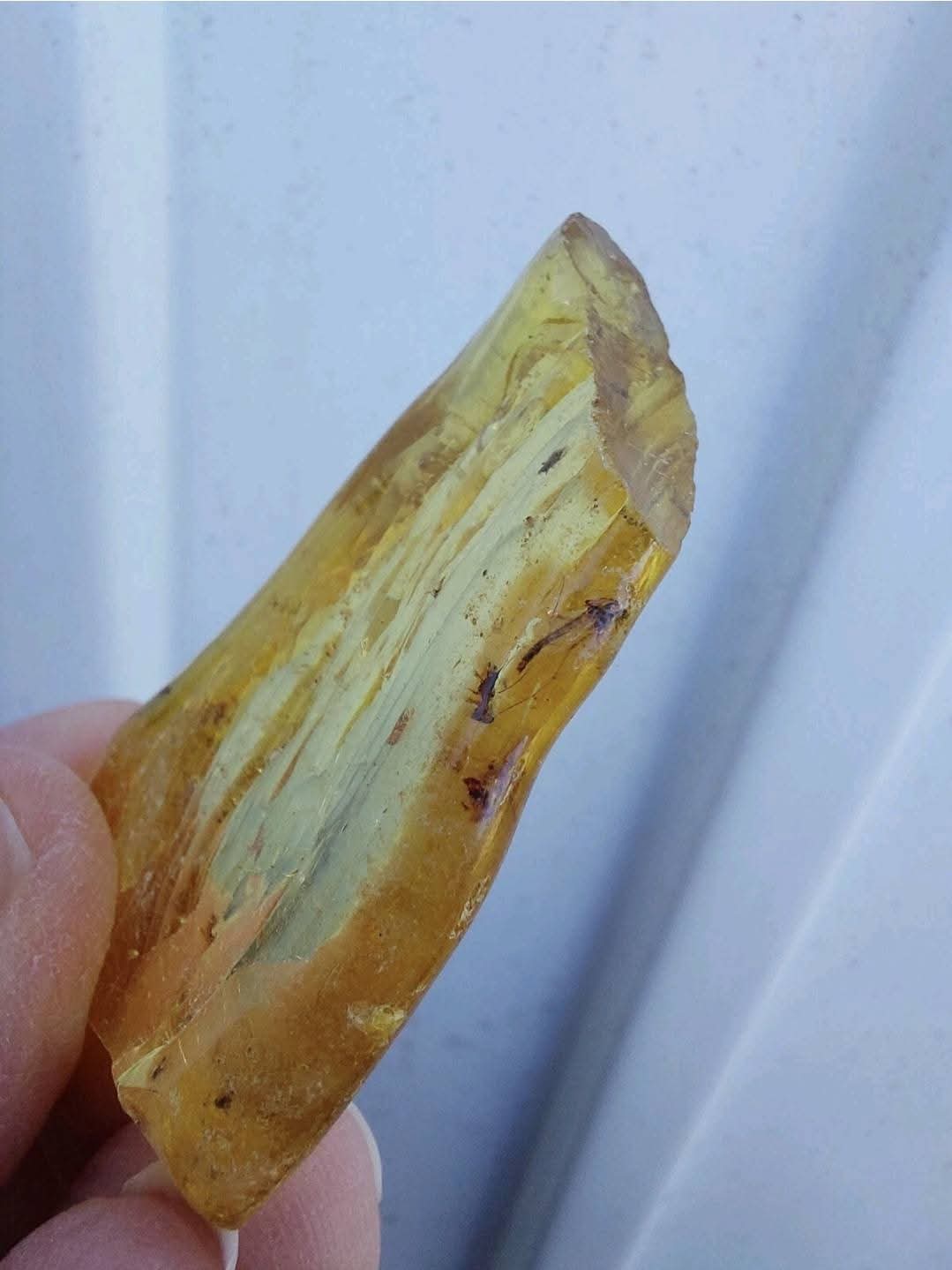 Copal Young Amber with INSECTS inside, 6.42g, Fossil (Ref: CA38)