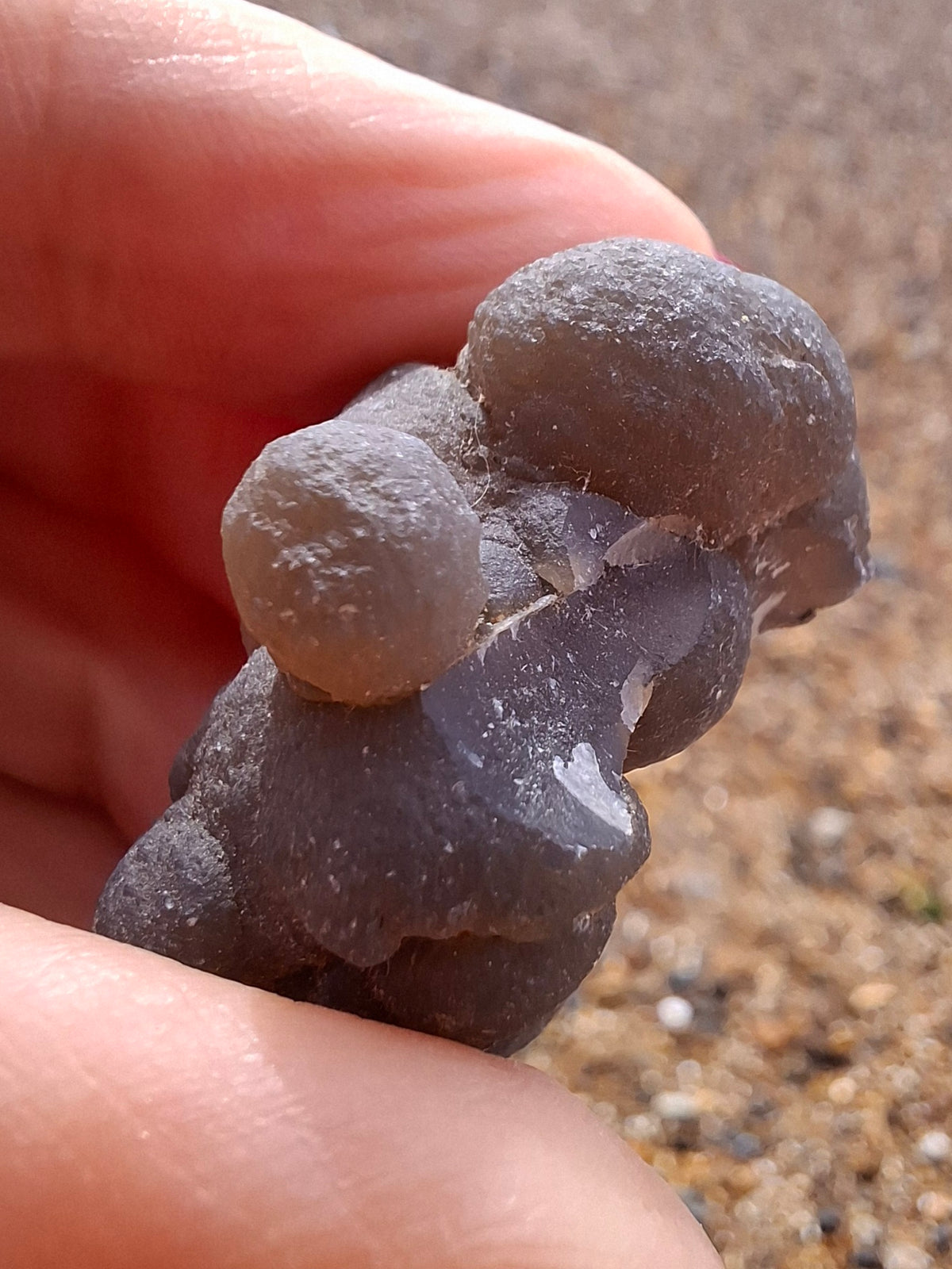 Nebula Chalcedony, 16.91g, Fossil (Ref: NC1)