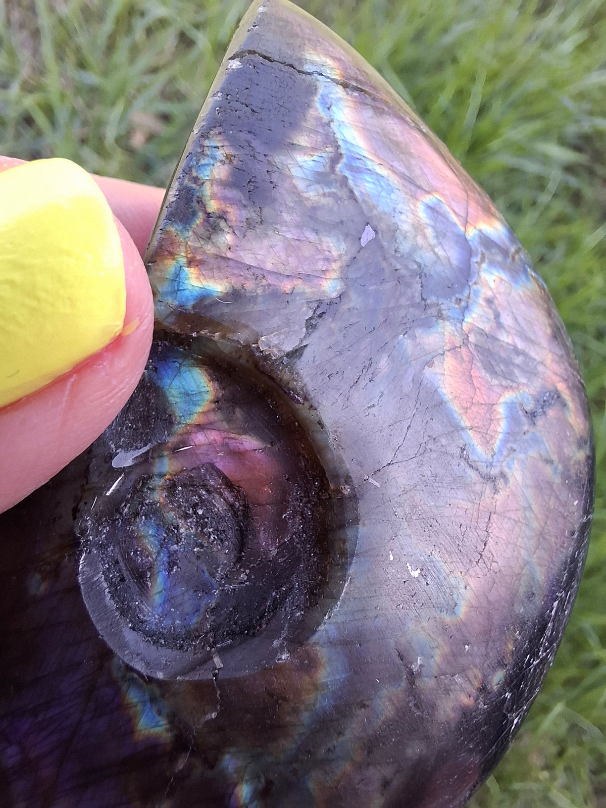 Labradorite Ammonite Carving, 89.31g, Crystal (Ref: laba6)