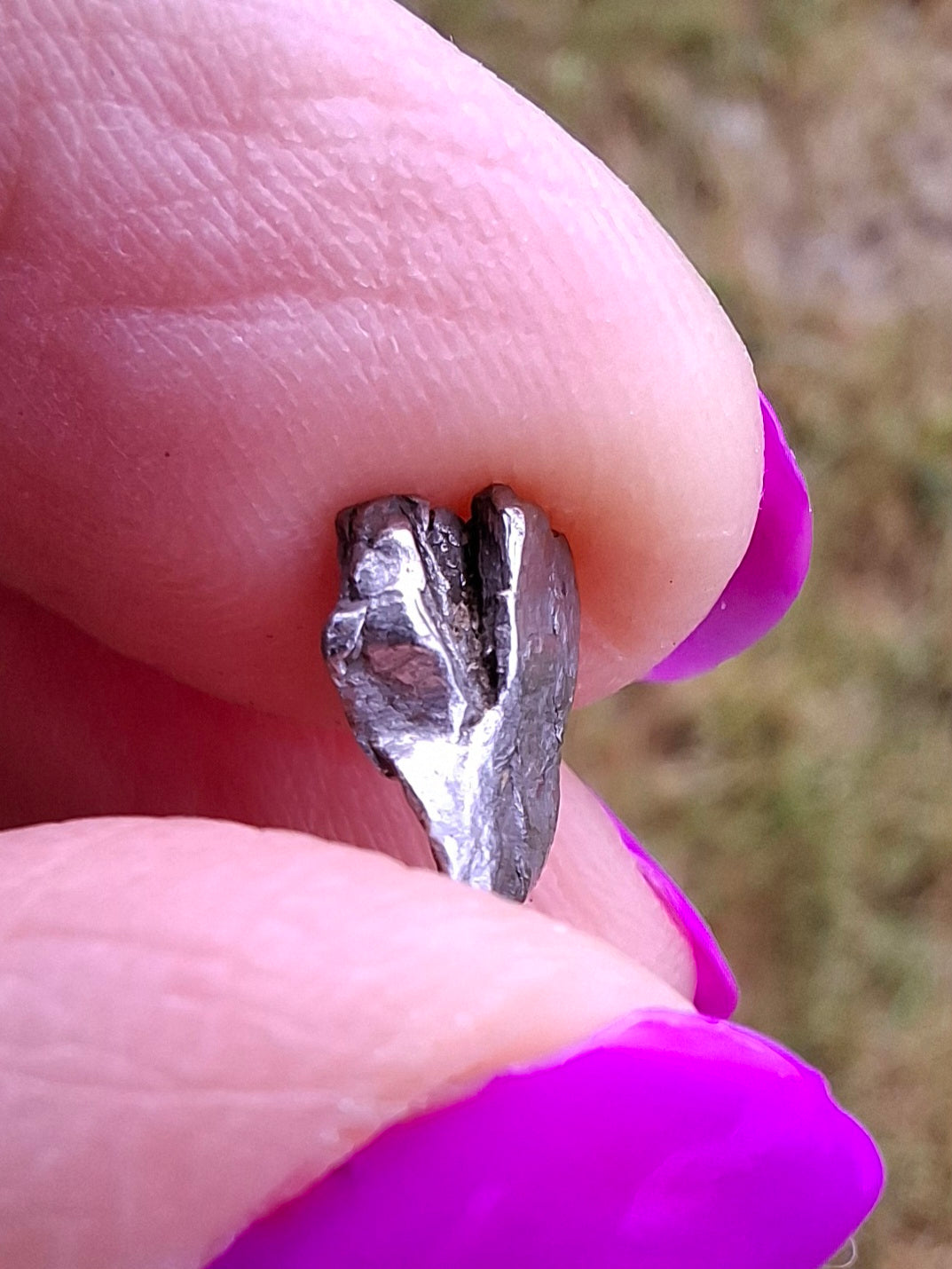 Campo del Cielo, 0.55g, Nickel Iron Meteorite (Ref: C3)