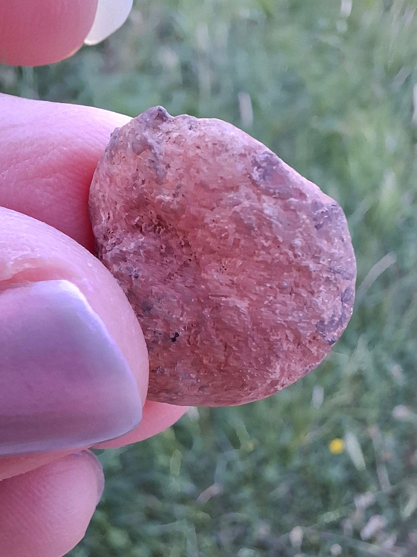 Small Haematite Ammonite HALF, 2.59g, Fossil (Ref: MA7)