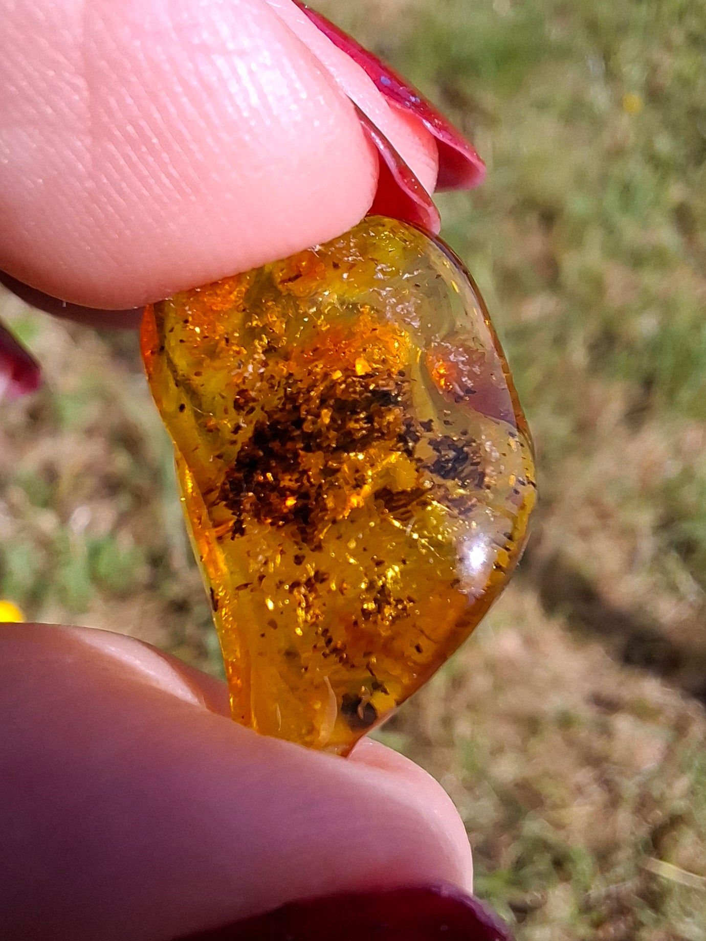Baltic Amber, 1.13g, Fossil (Ref: A241)