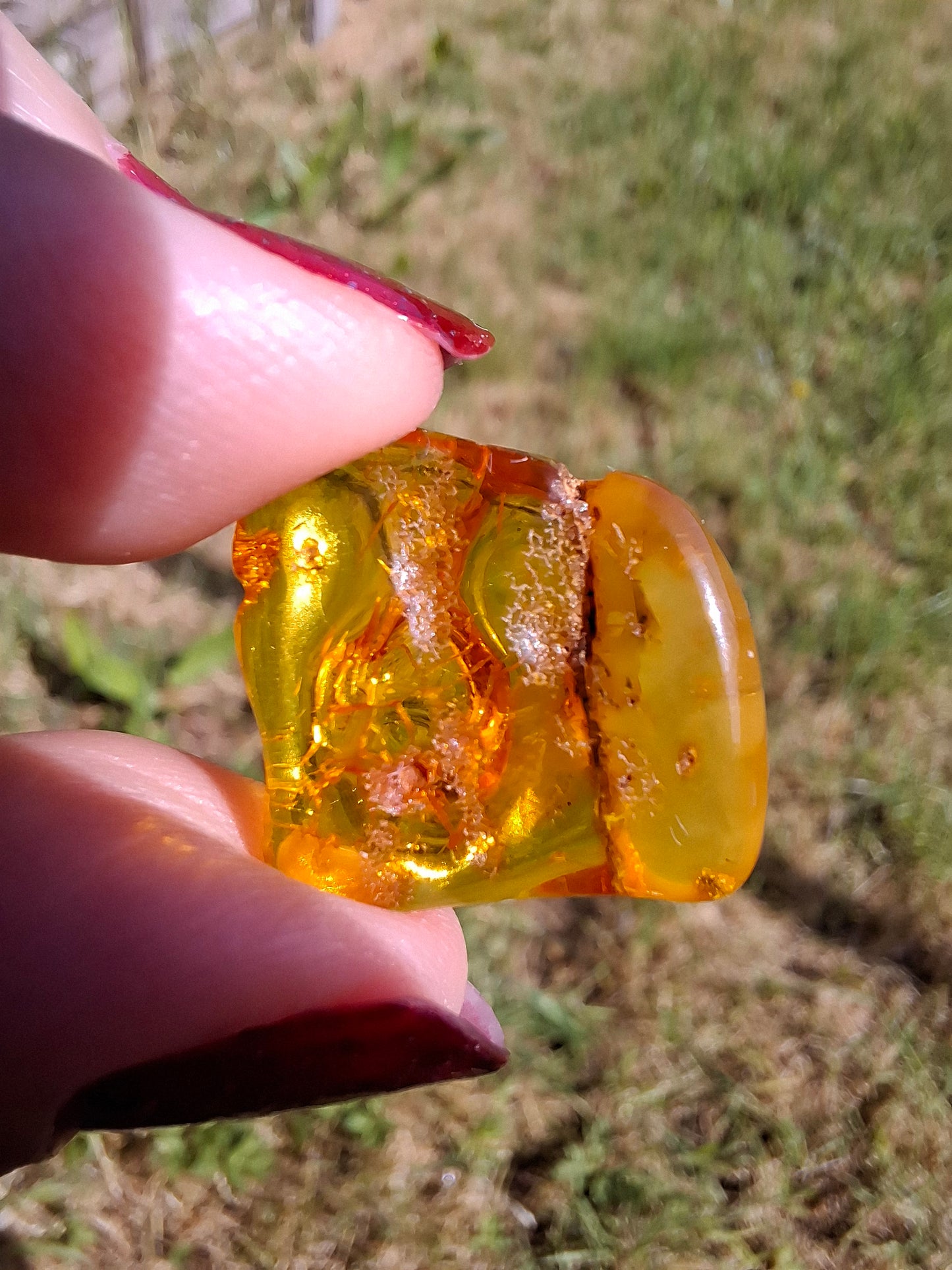 Baltic Amber, 1.51g, Fossil (Ref: A236)