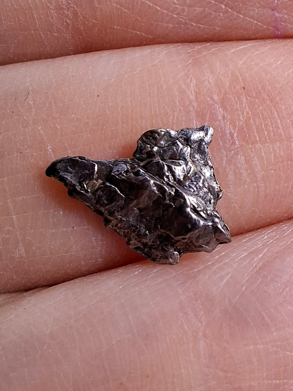 Campo del Cielo, 0.37g, Nickel Iron Meteorite (Ref: C13)