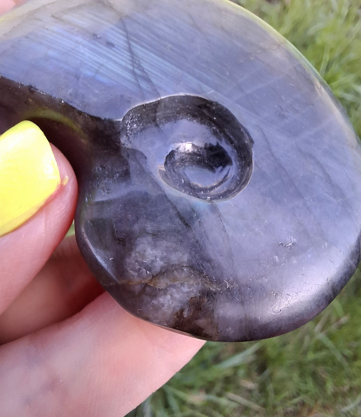 Labradorite Ammonite carving, 96.88g, Crystal (Ref: laba1)