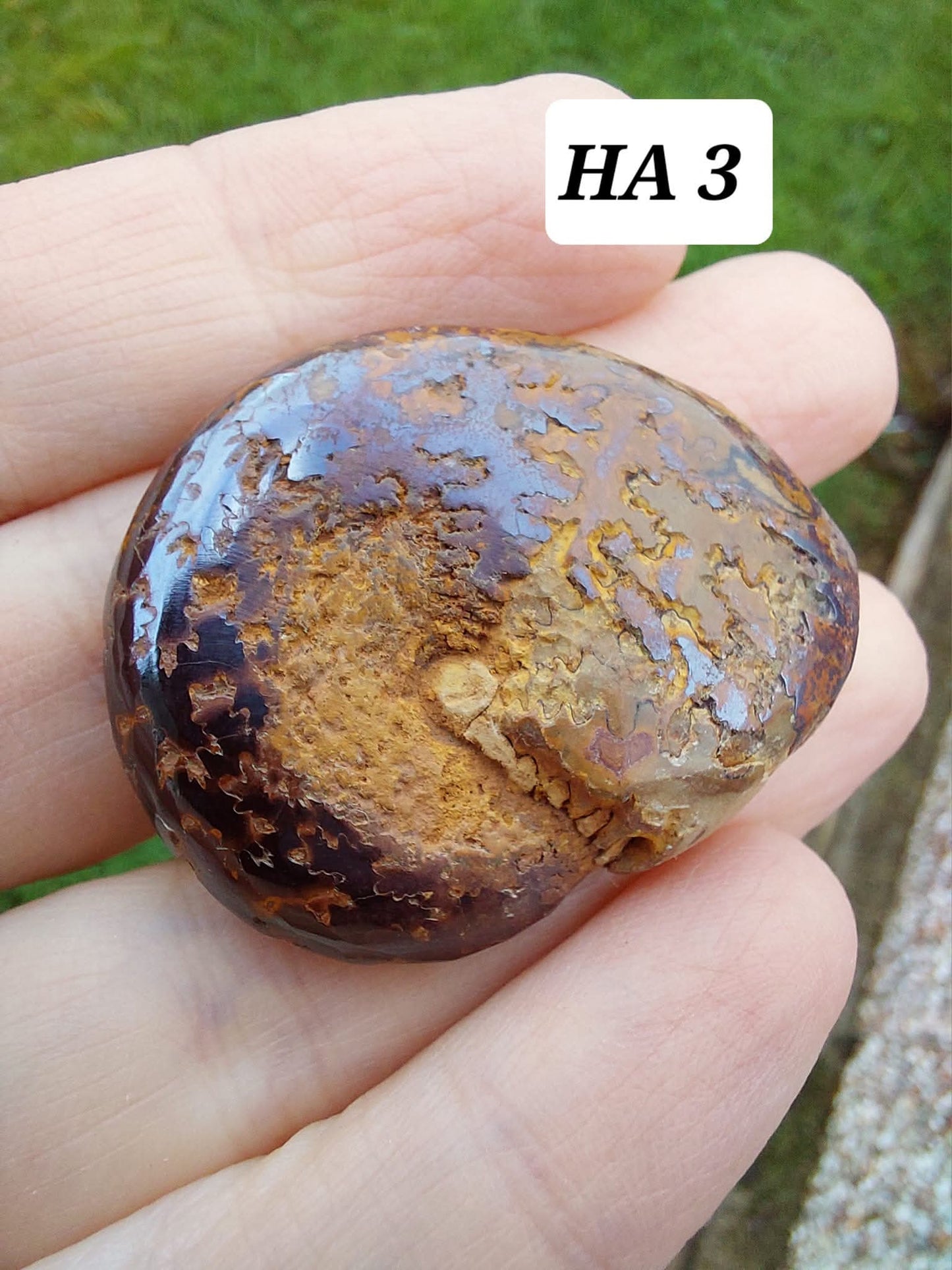 Hematite Ammonite, 16.00g, Fossil (Ref: HA3)