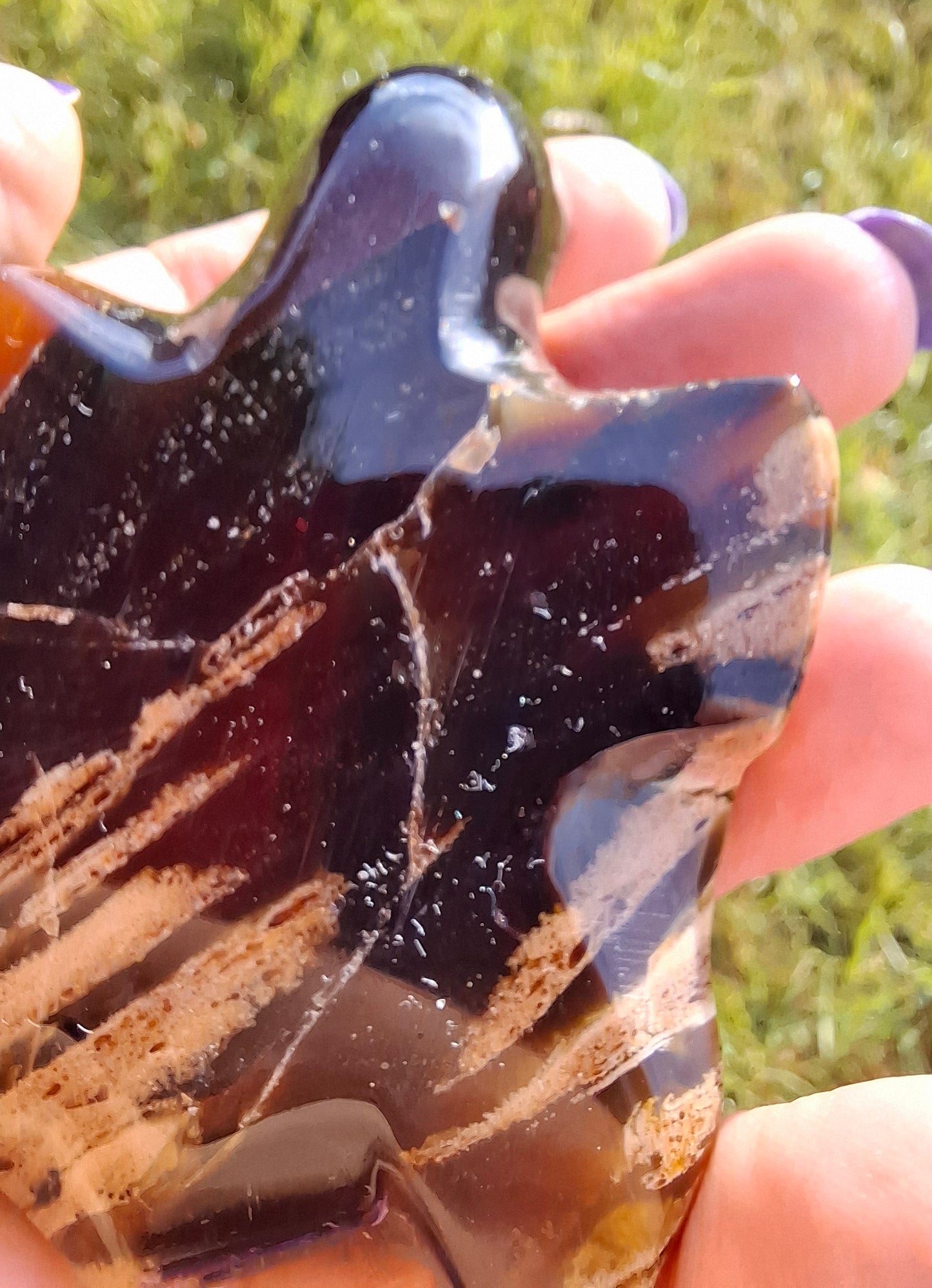 Red Amber Turtle, 59.07g, Carving, Fossil (Ref: TT5)