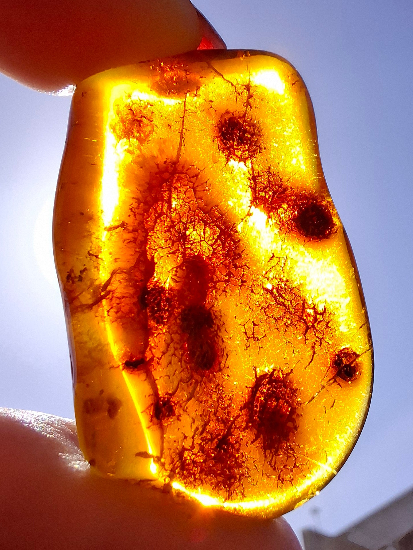 Baltic Amber, 4.50g, Fossil (Ref: A151)