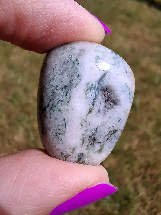 Tree Agate, Tumble Stone, Crystal (Ref: T7)