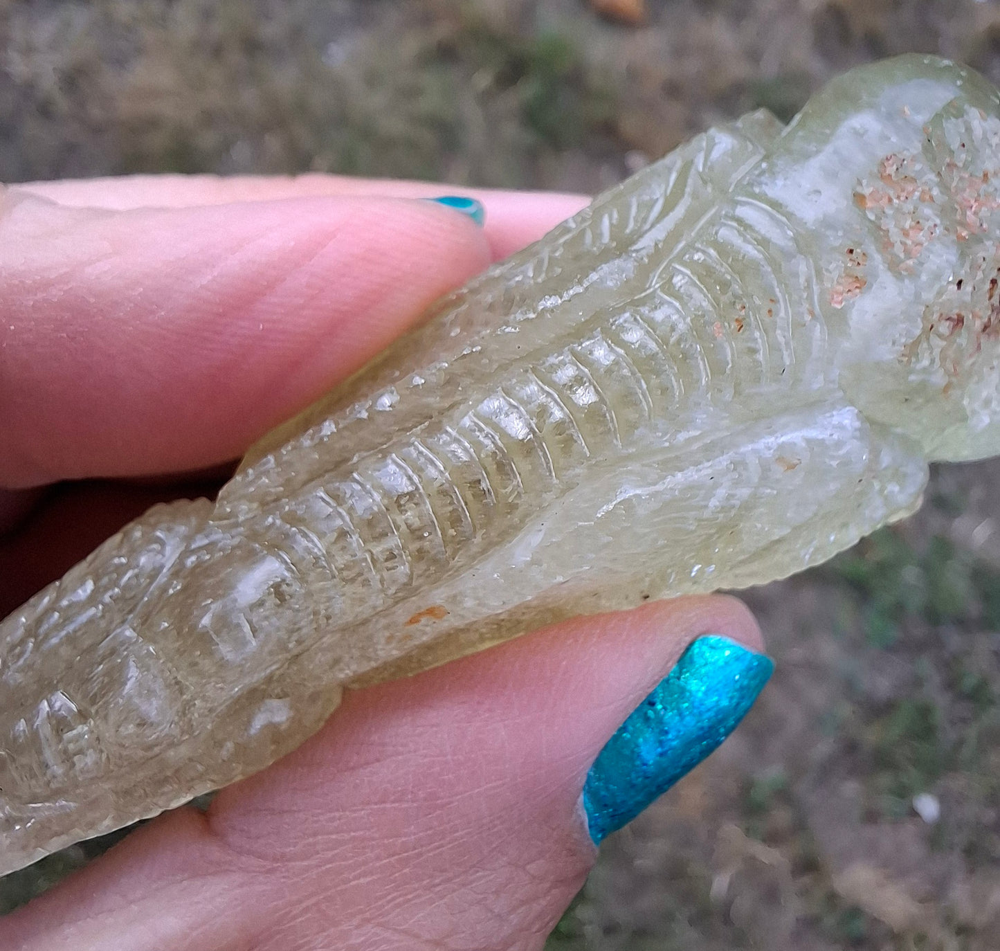 Libyan Desert Glass DRAGON HEAD carving, 48.11g, Tektite (Ref: Dragon4)