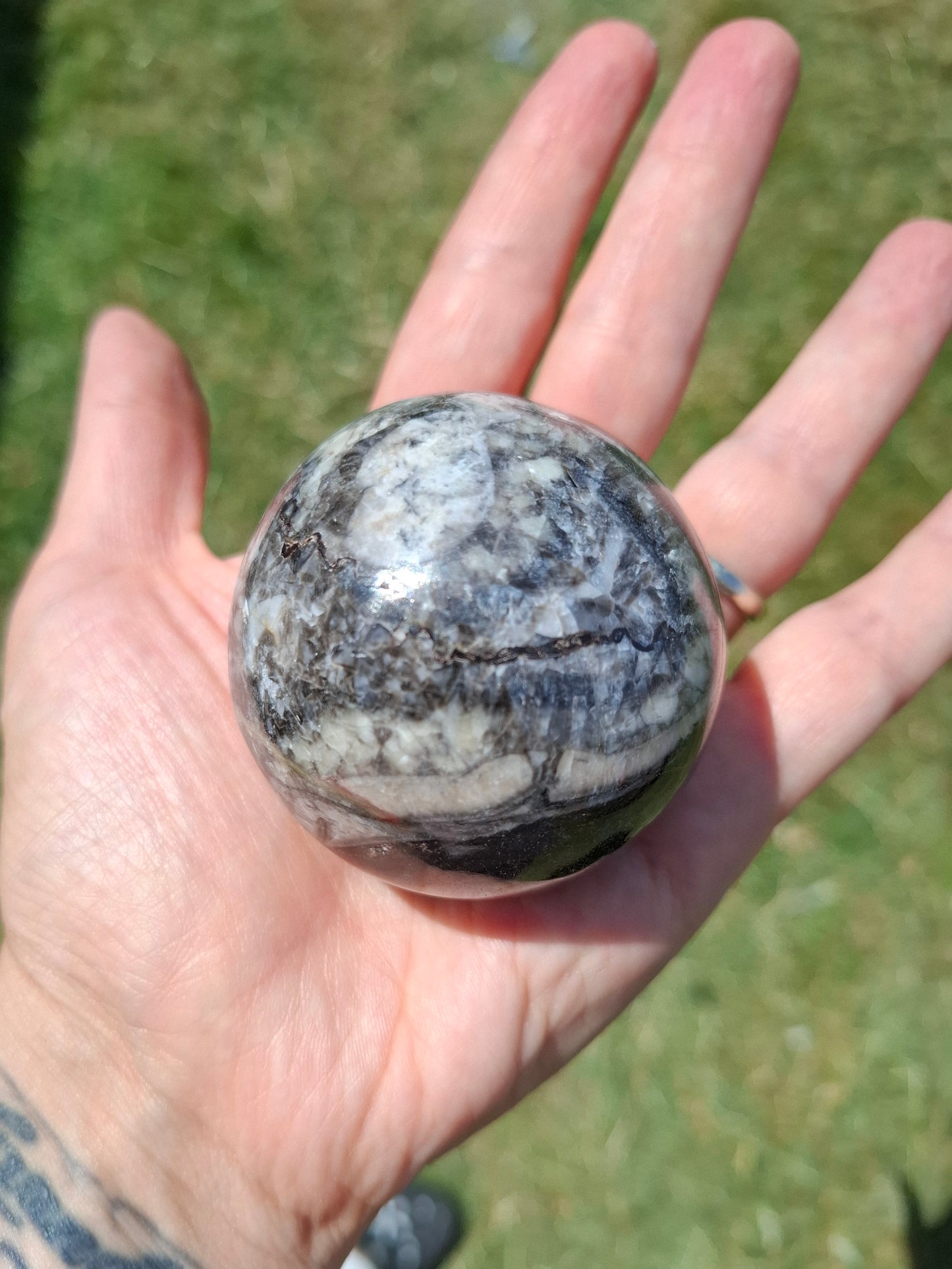 Orthoceras Sphere, Fossil (Ref: OS4)