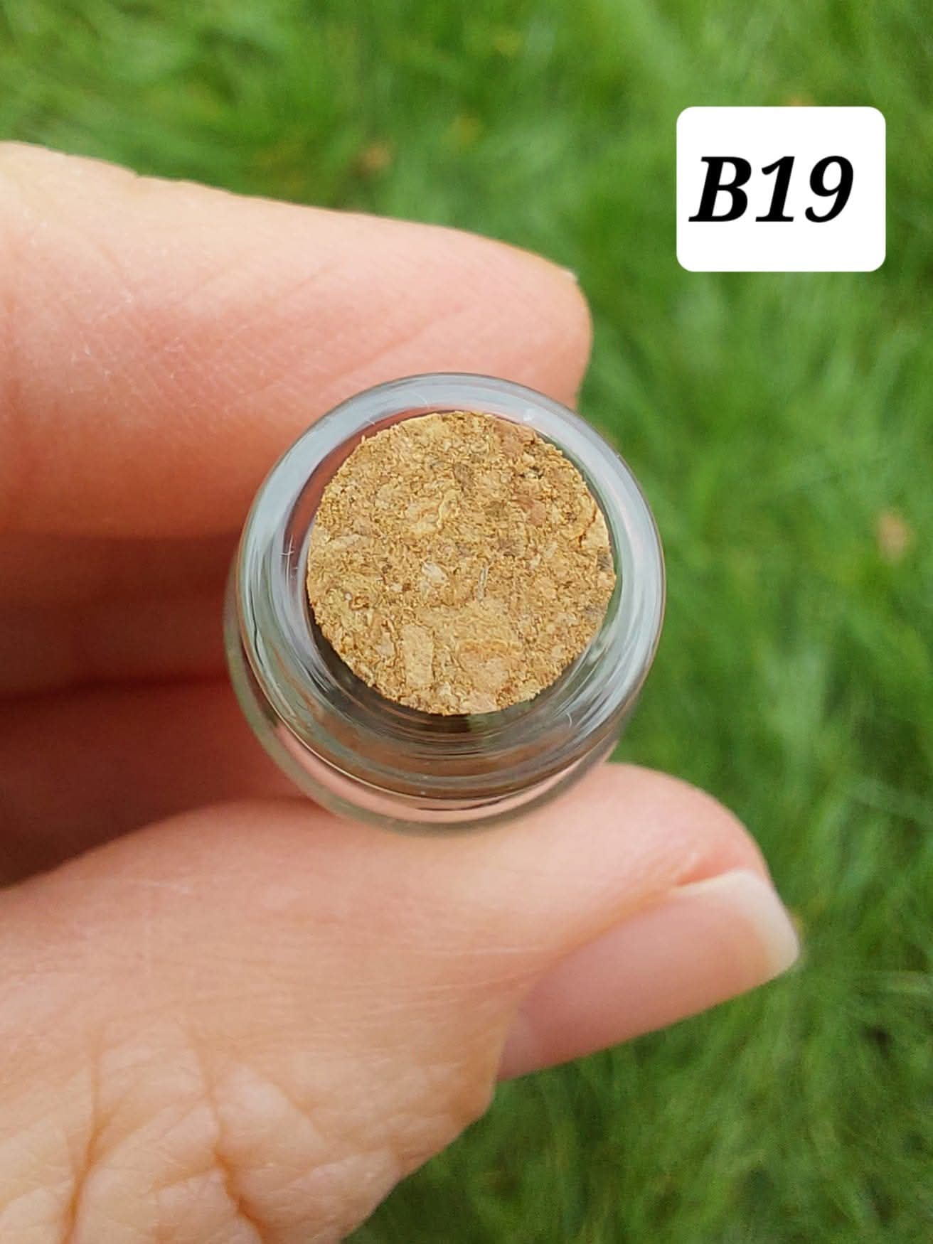 Moldavite chips (2.50g) in 3ml glass Bottle, Tektite (Ref: B19)