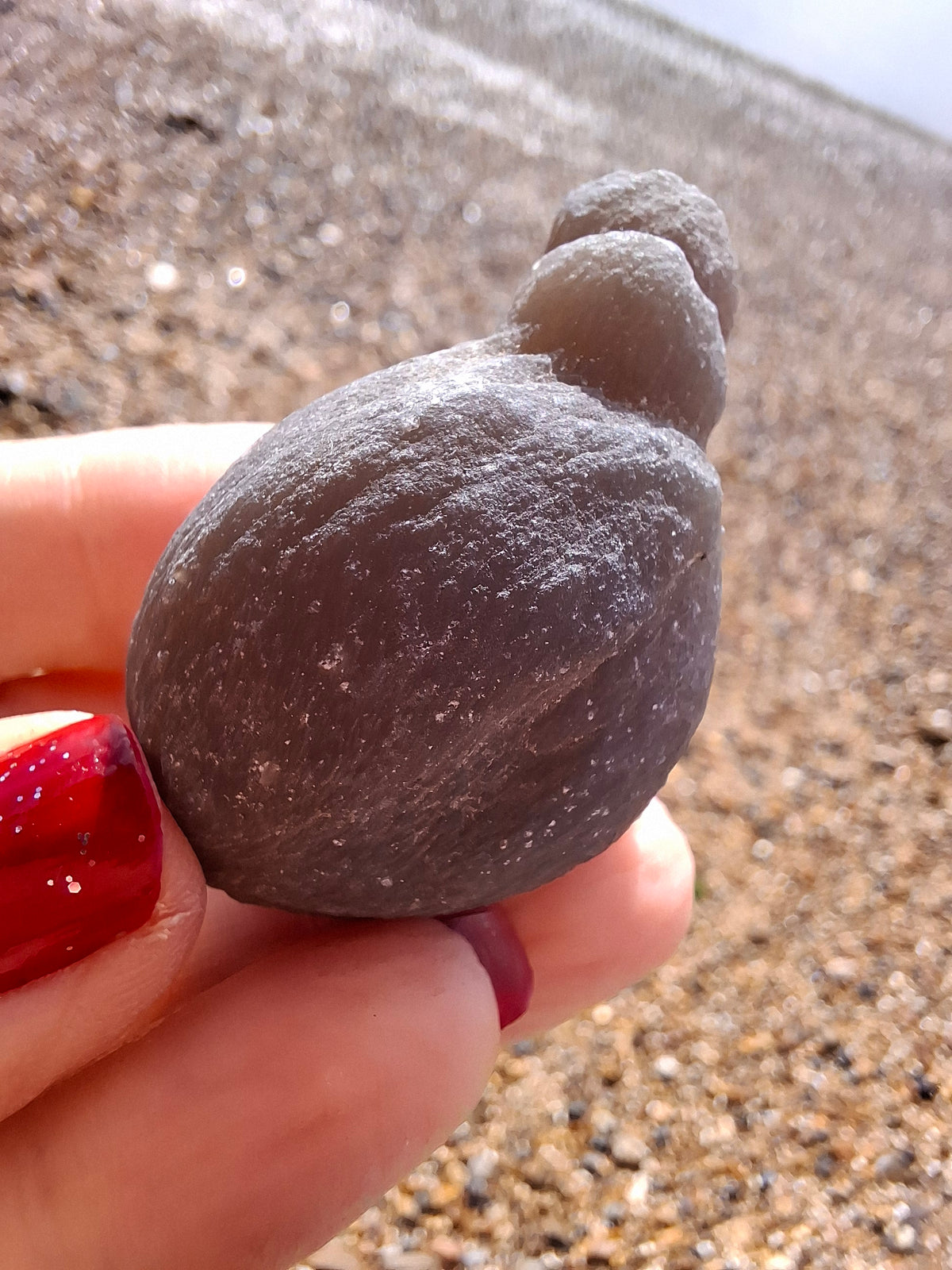 Nebula Chalcedony, 37.96g, Fossil (Ref: NC7)