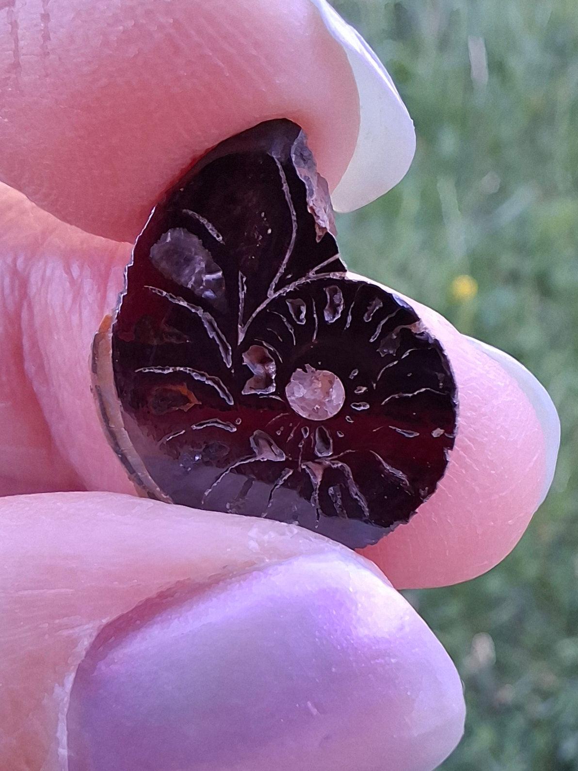 Small Haematite Ammonite HALF, 1.32g, Fossil (Ref: MA5)