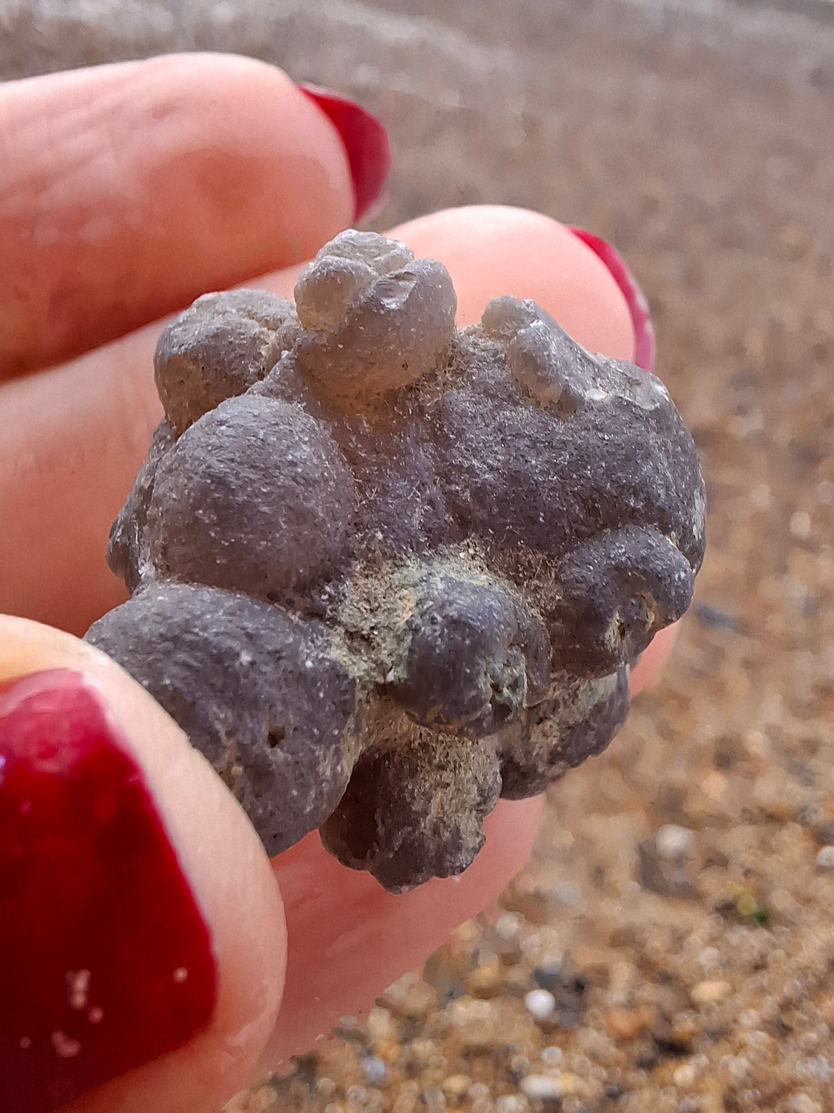 Nebula Chalcedony, 13.45g, Fossil (Ref: NC2)