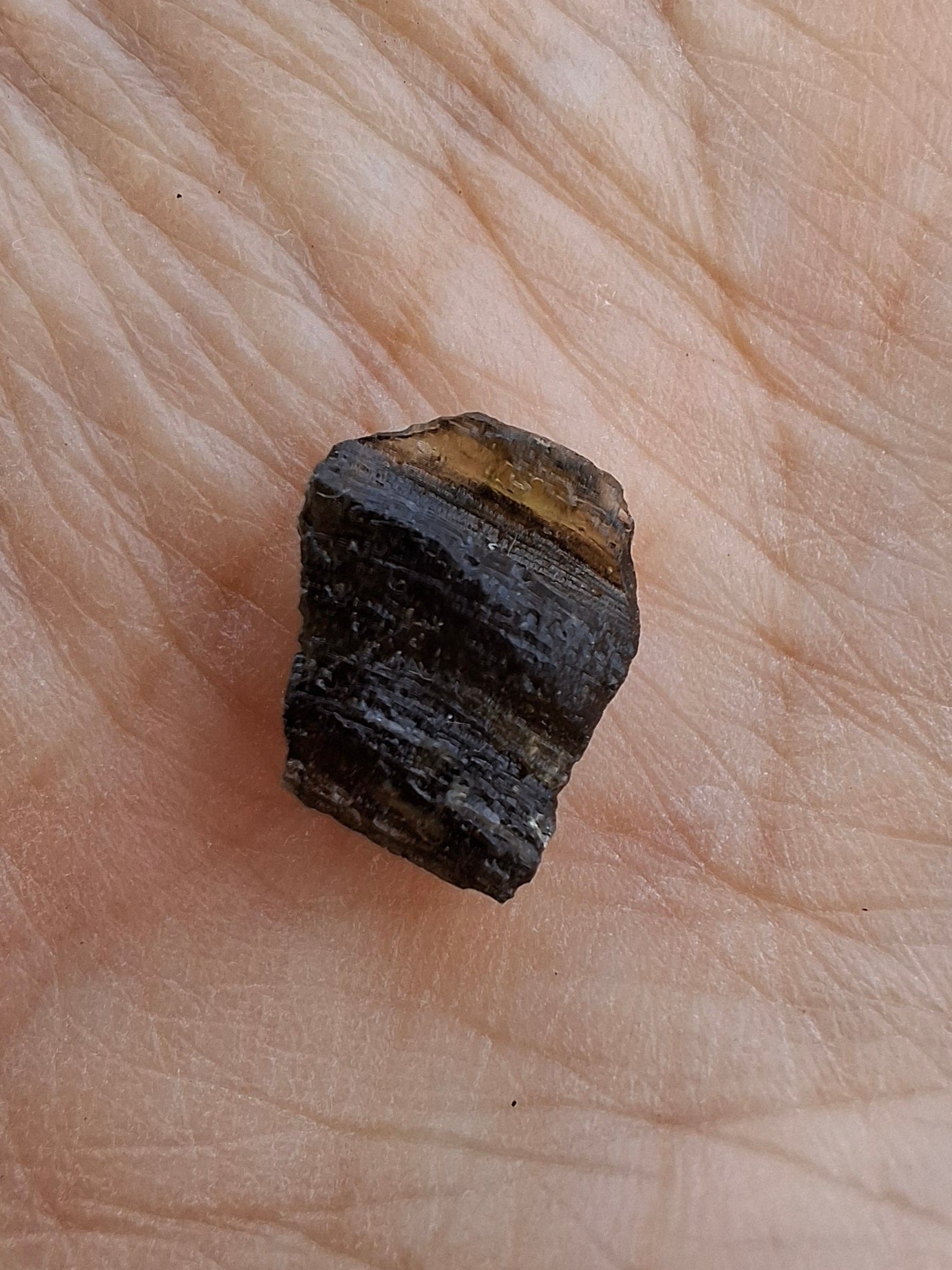 Moldavite Piece, 0.87g, Tektite (Ref: 1392)