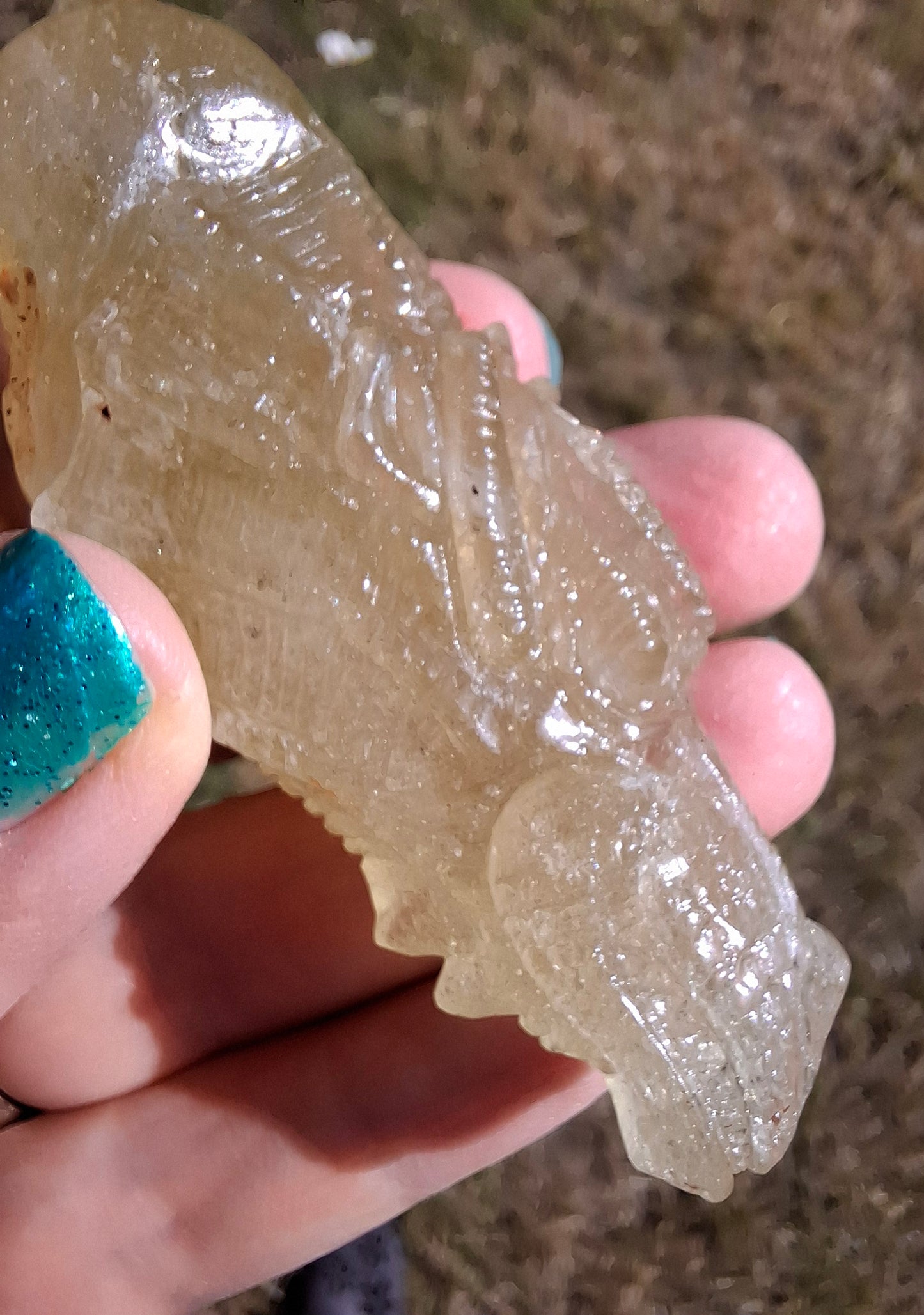 Libyan Desert Glass DRAGON HEAD carving, 48.11g, Tektite (Ref: Dragon4)