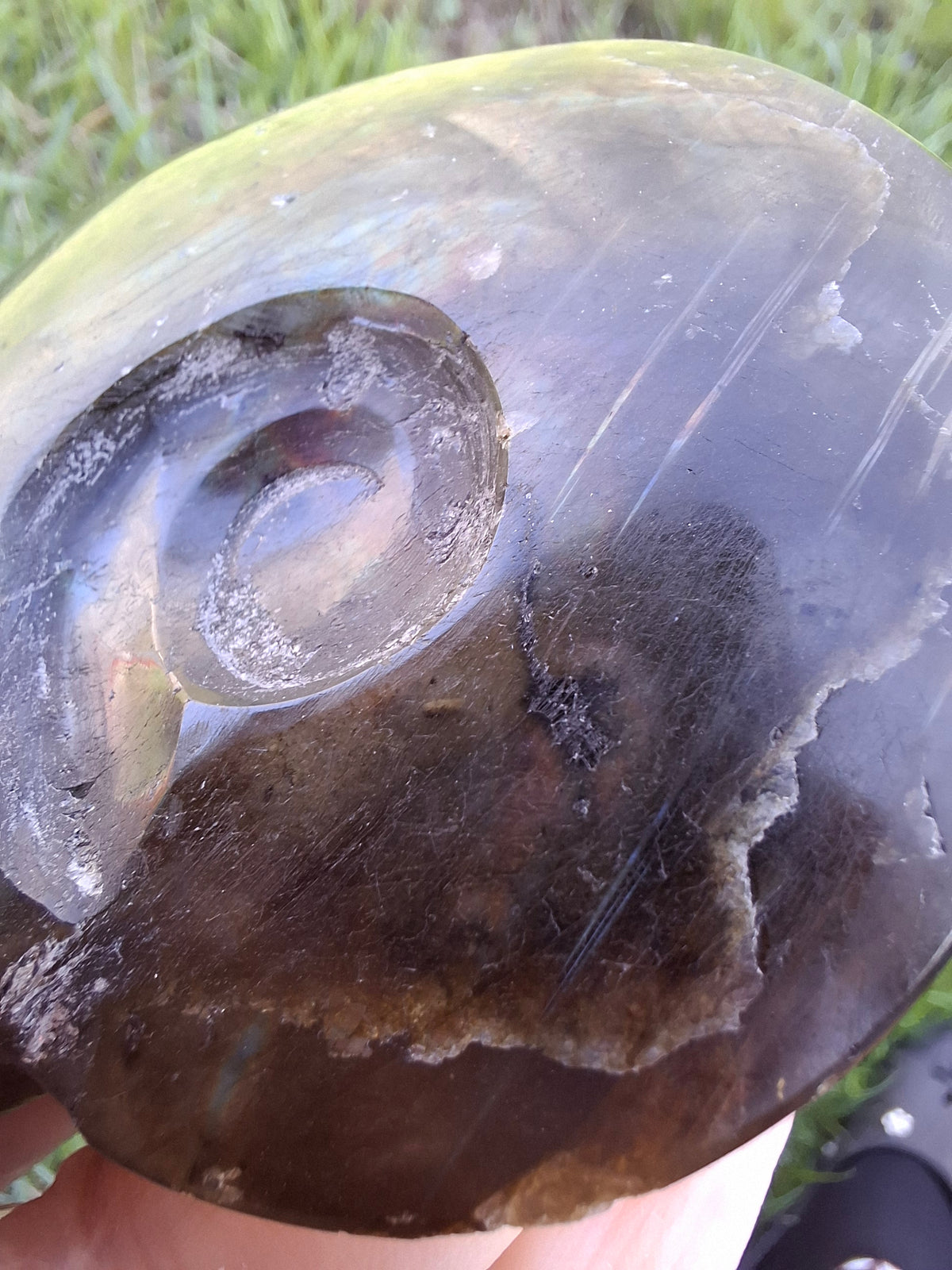 Labradorite Ammonite Carving, 160.21g, Crystal (Ref: laba4)