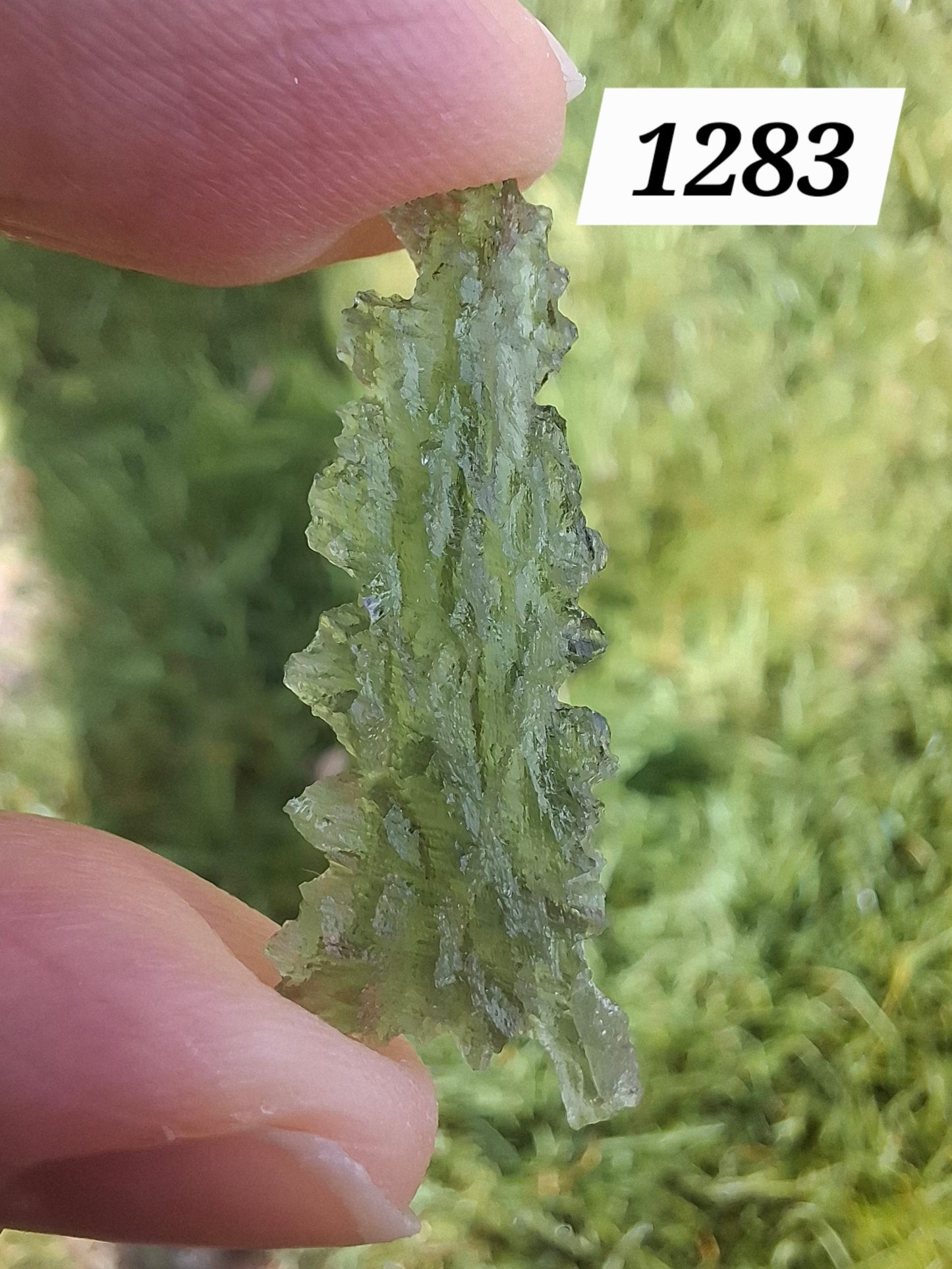 Moldavite Piece, JEZKOVNA BESEDNICE, 1.41g, Tektite (Ref: 1283)