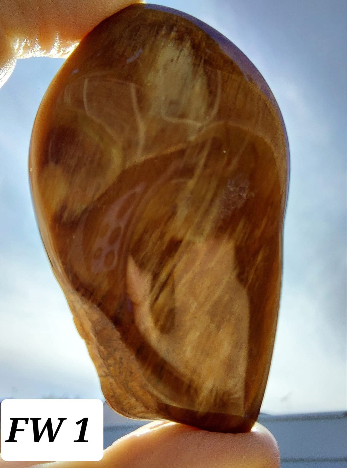 Fossilised Wood (polished), 74.86g, Fossil (Ref: FE1)