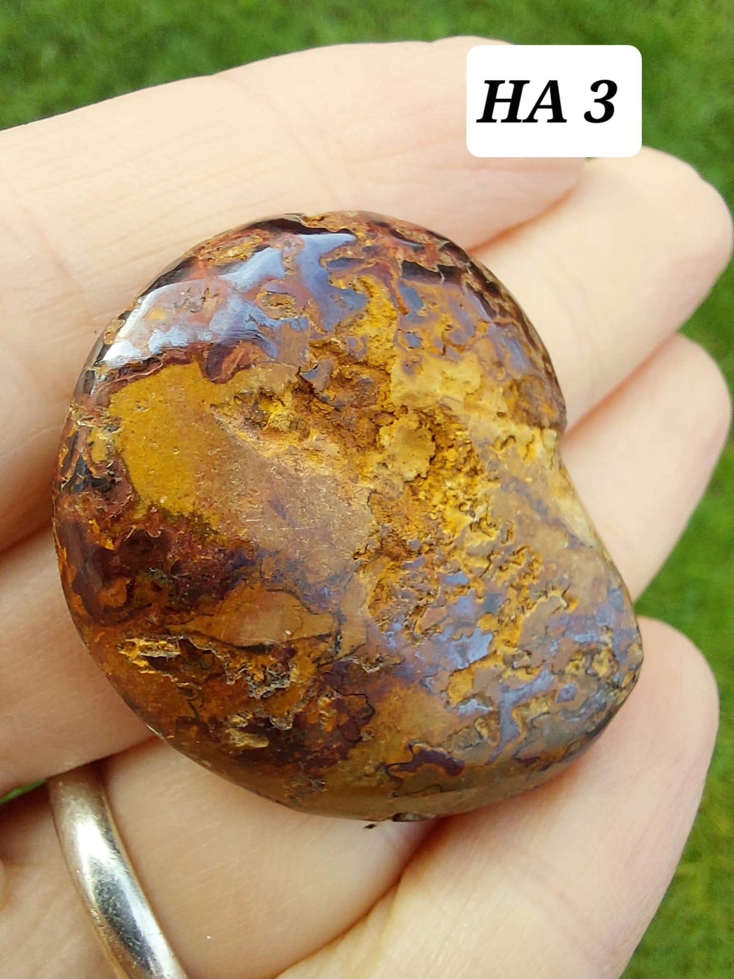 Hematite Ammonite, 16.00g, Fossil (Ref: HA3)