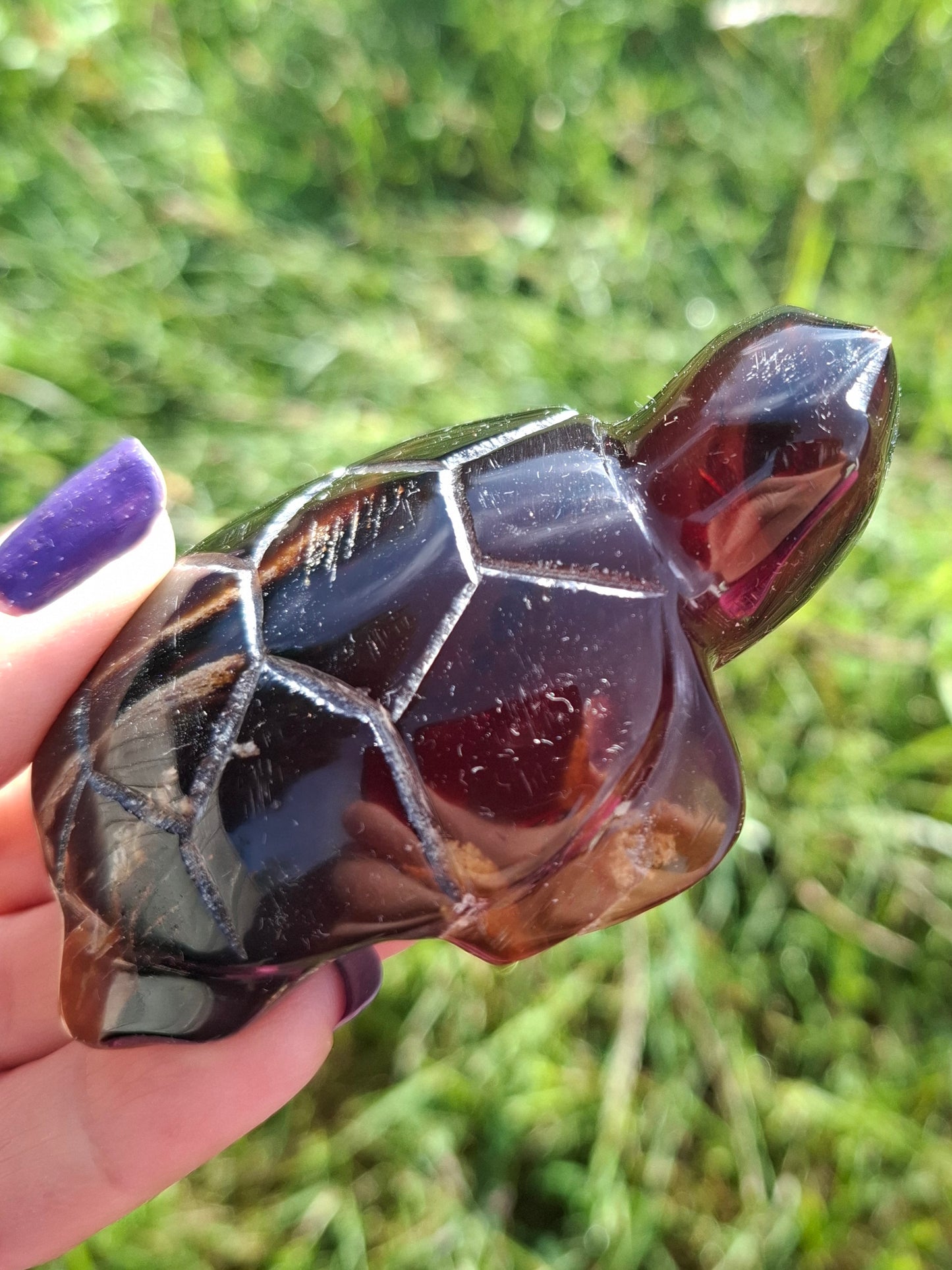 Red Amber Turtle, 52.00g, Carving, Fossil (Ref: TT3)