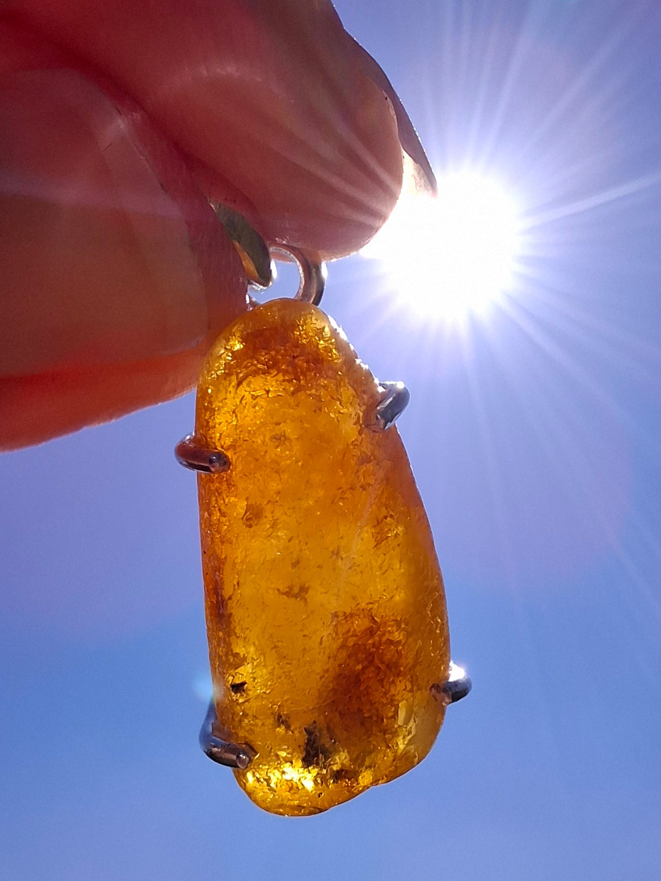 Baltic Amber Pendant, 925 Silver, Fossil (Ref: AP8)
