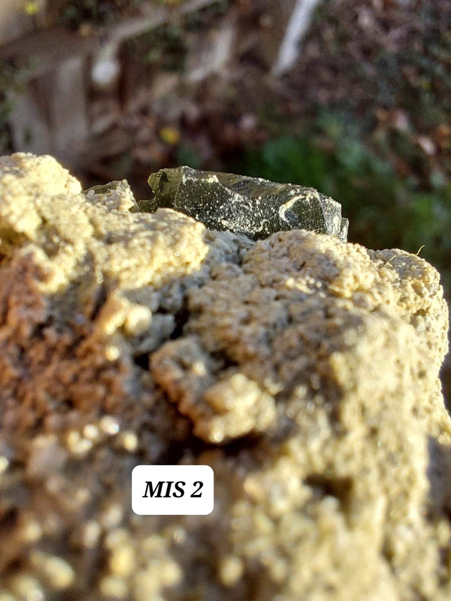 Moldavite In-Situ (in matrix), Besednice, Est 3.5-4g, Tektite (Ref: MIS2)