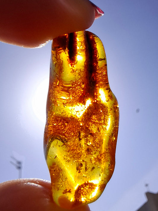 Baltic Amber, 2.95g, Fossil (Ref: A159)