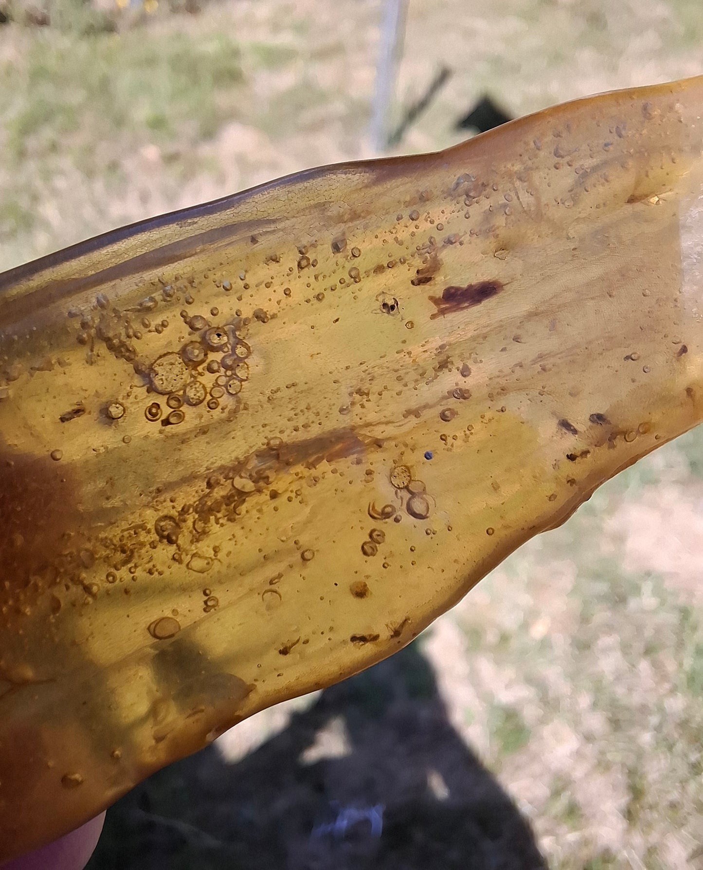 Copal Young Amber with INSECTS inside, 18.29g, Fossil (Ref: CA33)