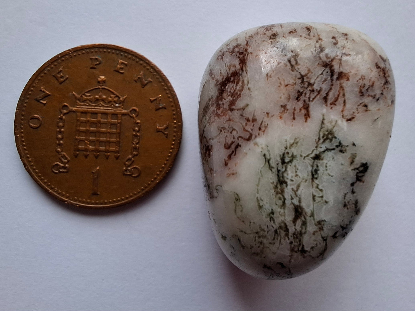 Tree Agate, Tumble Stone, Crystal (Ref: T6)