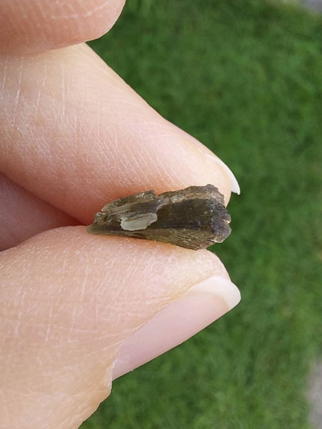 Moldavite Piece, 0.65g. Tektite (Ref: 898)