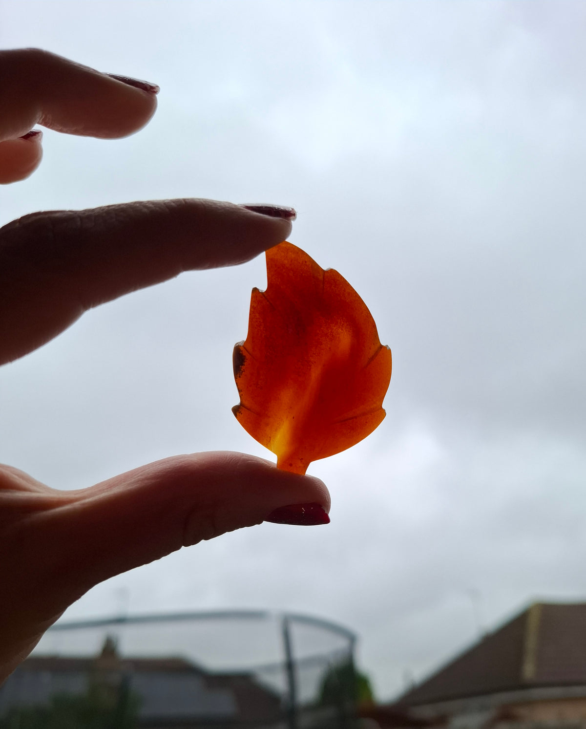 Red Amber Leaf Carving, 7.03g, Fossil (Ref: Leaf11)